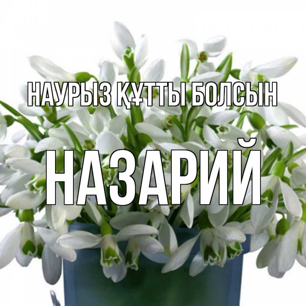 Күн сайын ашық хат с именем, Назарий Наурыз құтты болсын цветы к наурызу Онлайн тегін жүктеп алу тілектері бар керемет карта 