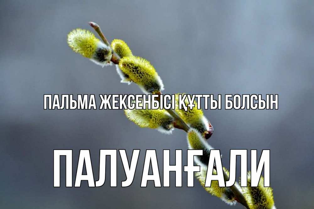 Күн сайын ашық хат с именем, ПАЛУАНҒАЛИ Пальма жексенбісі құтты болсын верба Онлайн тегін жүктеп алу тілектері бар керемет карта 