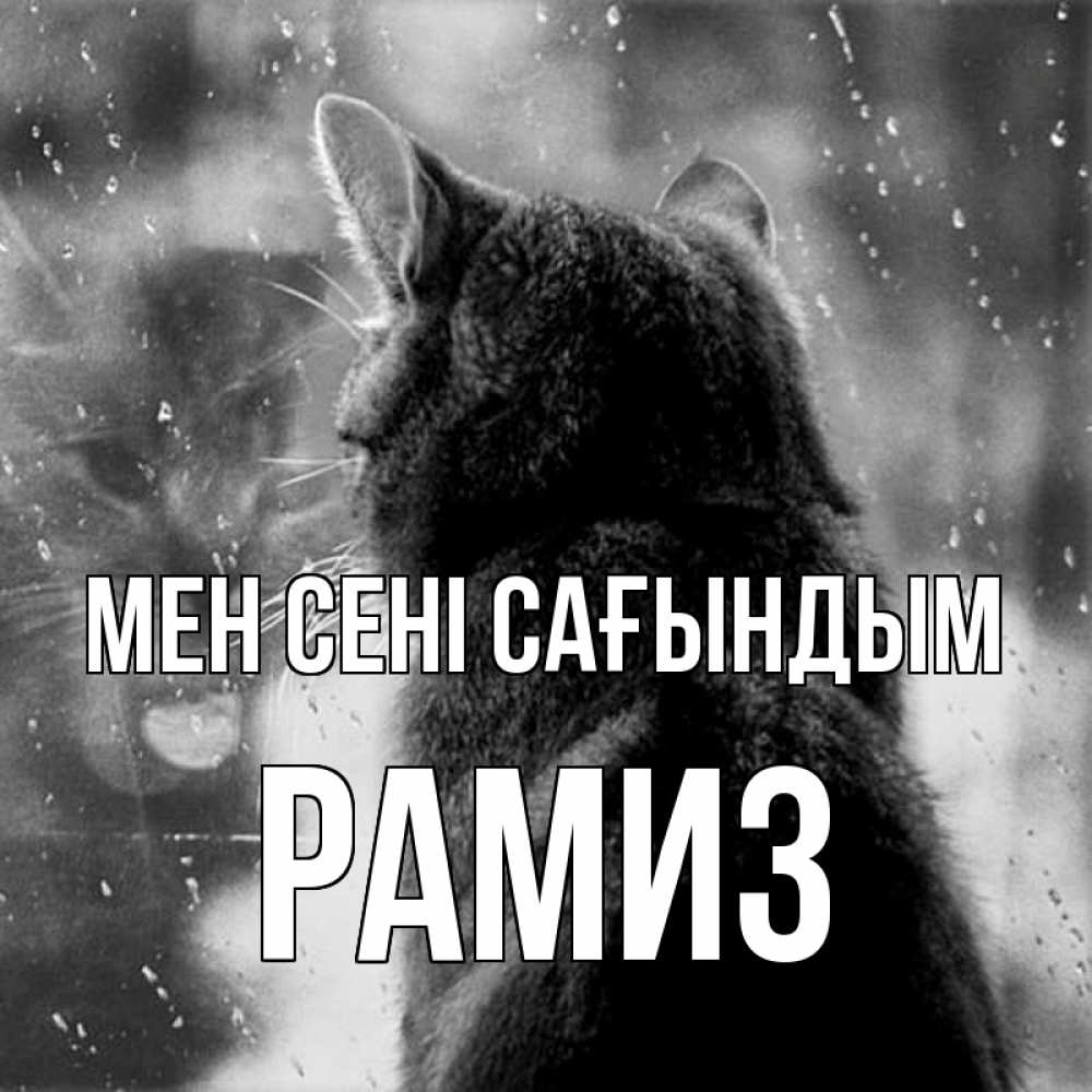 Күн сайын ашық хат с именем, РАМИЗ Мен сені сағындым скорее ко мне приходи 1 Онлайн тегін жүктеп алу тілектері бар керемет карта 