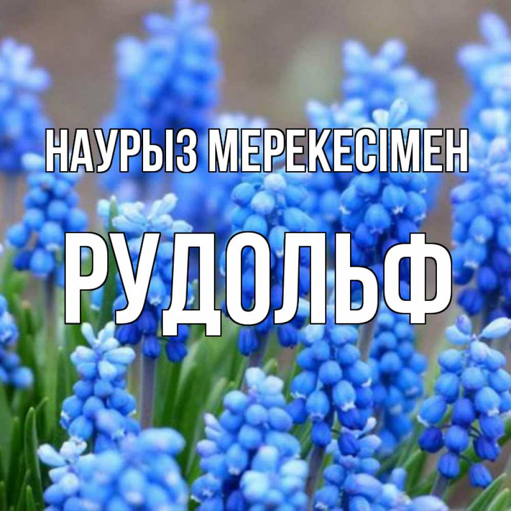 Күн сайын ашық хат с именем, Рудольф Наурыз мерекесімен Поздравительная открытка для женщин с цветами на праздничную дату Онлайн тегін жүктеп алу тілектері бар керемет карта 