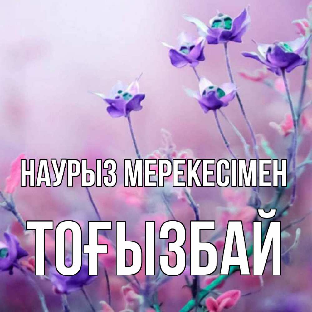 Күн сайын ашық хат с именем, ТОҒЫЗБАЙ Наурыз мерекесімен международный женский день 2 Онлайн тегін жүктеп алу тілектері бар керемет карта 