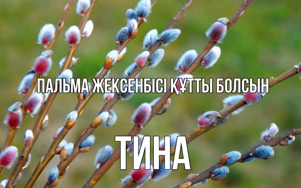 Күн сайын ашық хат с именем, Тина Пальма жексенбісі құтты болсын верба Онлайн тегін жүктеп алу тілектері бар керемет карта 