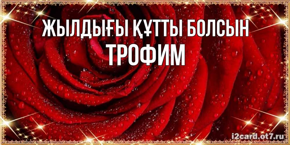 Күн сайын ашық хат с именем, Трофим Жылдығы құтты болсын роса на розе блестящая в лучах солнца Онлайн тегін жүктеп алу тілектері бар керемет карта 
