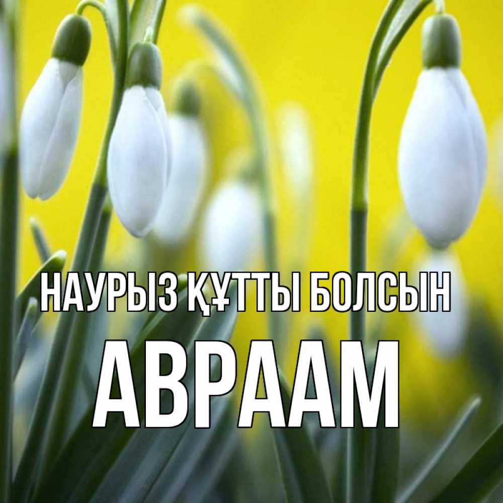 Күн сайын ашық хат с именем, Авраам Наурыз құтты болсын весенние цветы Онлайн тегін жүктеп алу тілектері бар керемет карта 