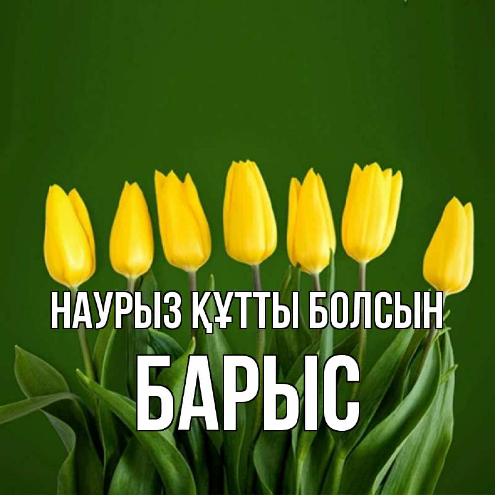 Күн сайын ашық хат с именем, Барыс Наурыз құтты болсын желтого цвета 3 Онлайн тегін жүктеп алу тілектері бар керемет карта 