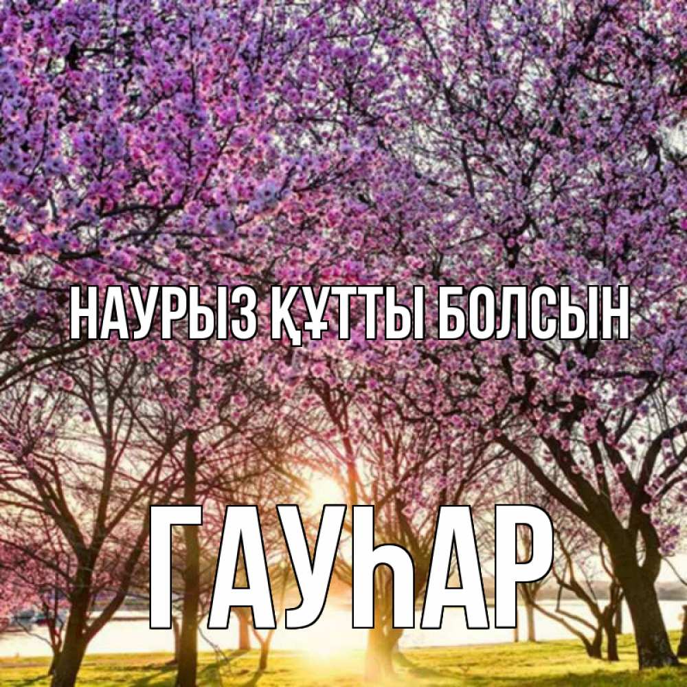 Күн сайын ашық хат с именем, Гауһар Наурыз құтты болсын наурыз Онлайн тегін жүктеп алу тілектері бар керемет карта 