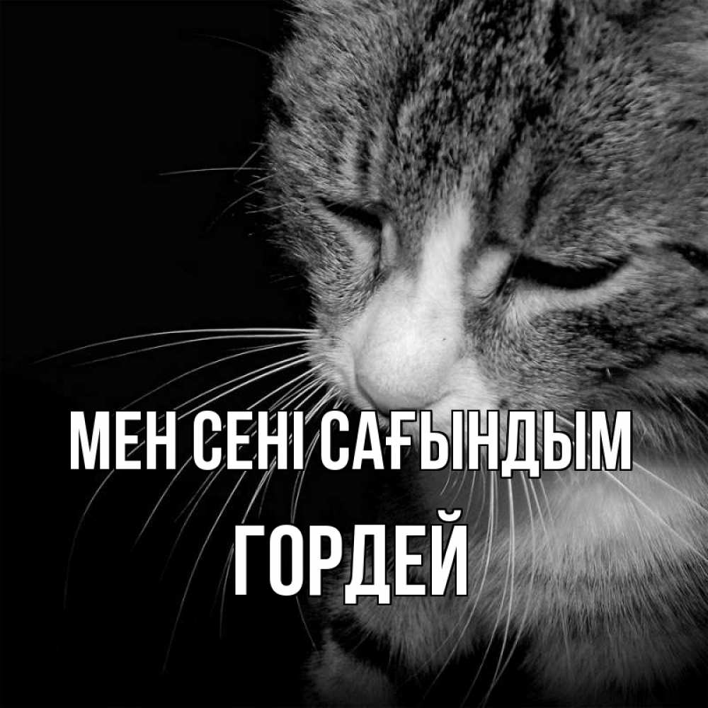 Күн сайын ашық хат с именем, Гордей Мен сені сағындым мне скучно Онлайн тегін жүктеп алу тілектері бар керемет карта 