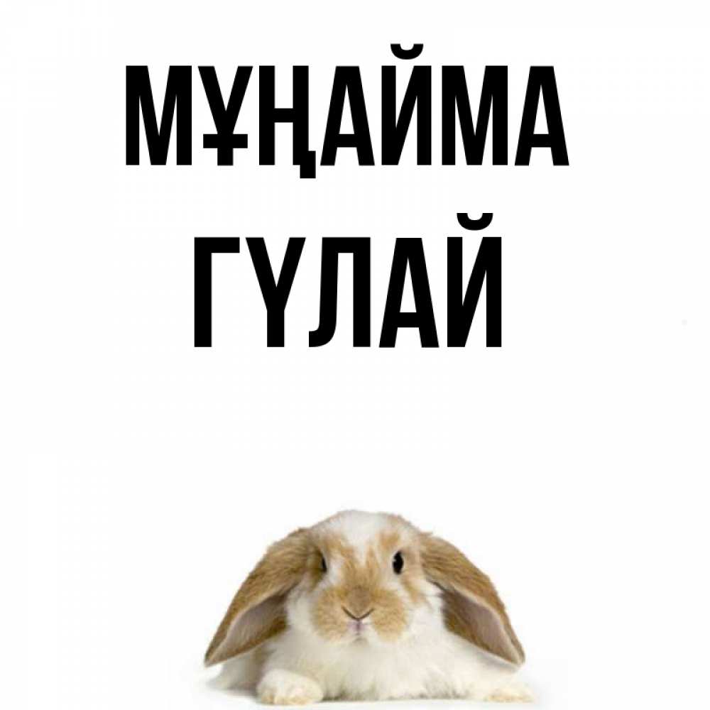 Күн сайын ашық хат с именем, ГҮЛАЙ Мұңайма коричнево белый заяц с большими ушками Онлайн тегін жүктеп алу тілектері бар керемет карта 