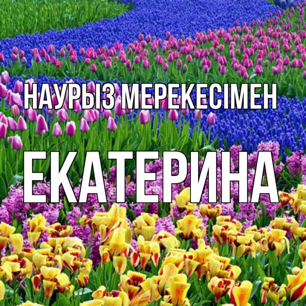 Күн сайын ашық хат с именем, Екатерина Наурыз мерекесімен цветы Онлайн тегін жүктеп алу тілектері бар керемет карта 