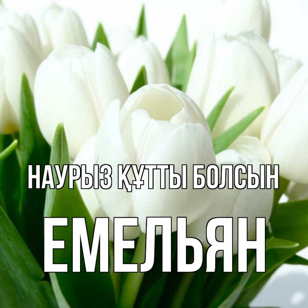 Күн сайын ашық хат с именем, Емельян Наурыз құтты болсын цветы Онлайн тегін жүктеп алу тілектері бар керемет карта 