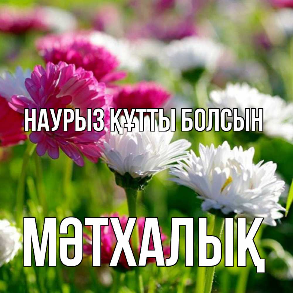 Күн сайын ашық хат с именем, МӘТХАЛЫҚ Наурыз құтты болсын наурыз Онлайн тегін жүктеп алу тілектері бар керемет карта 