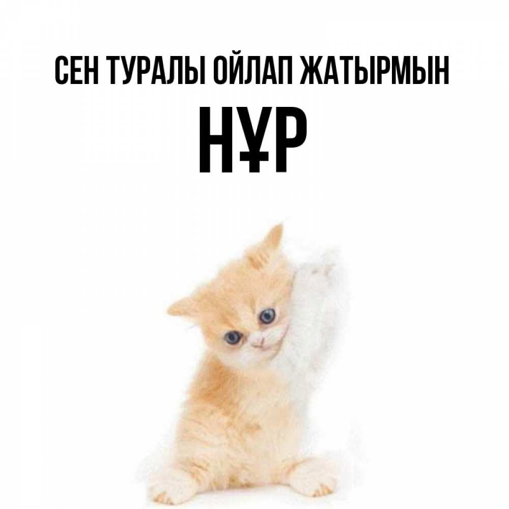Күн сайын ашық хат с именем, НҰР Сен туралы ойлап жатырмын зверушки и милота Онлайн тегін жүктеп алу тілектері бар керемет карта 