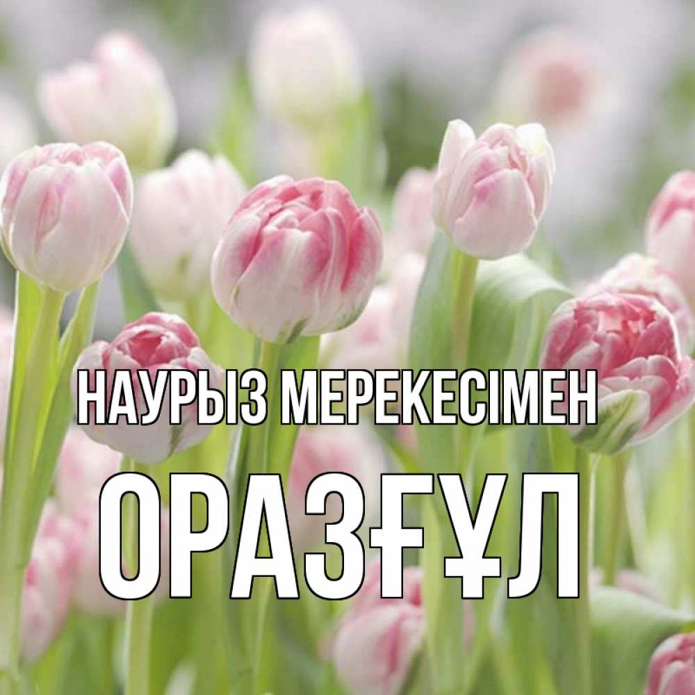 Күн сайын ашық хат с именем, ОРАЗҒҰЛ Наурыз мерекесімен цветы Онлайн тегін жүктеп алу тілектері бар керемет карта 