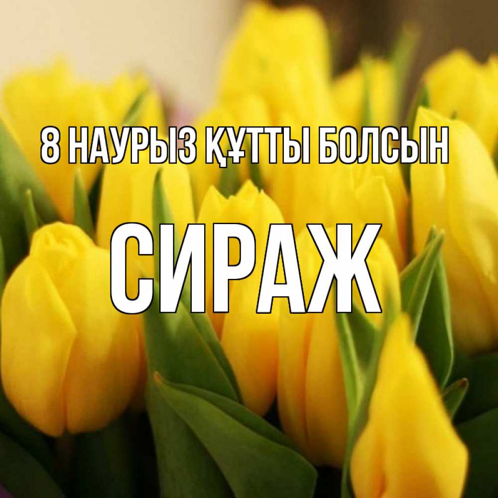 Күн сайын ашық хат с именем, СИРАЖ 8 наурыз құтты болсын цветы Онлайн тегін жүктеп алу тілектері бар керемет карта 