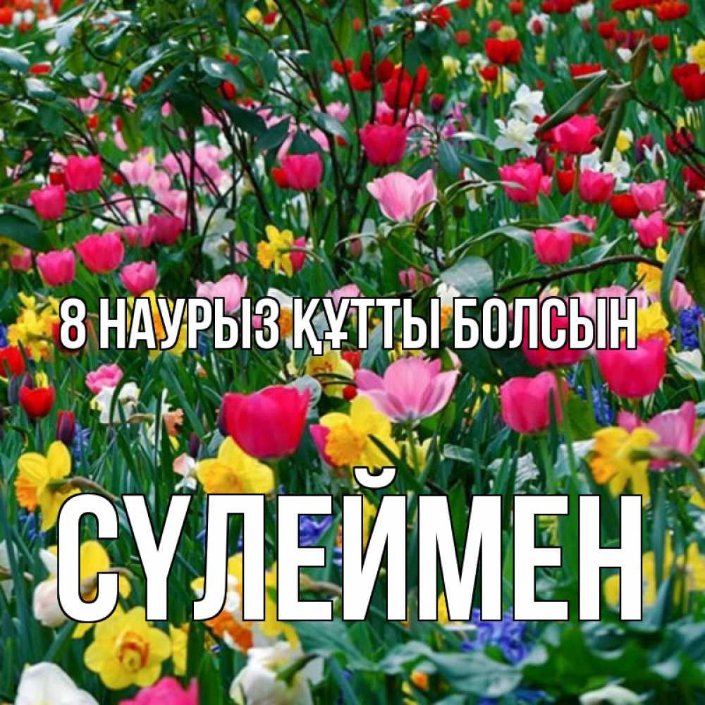 Күн сайын ашық хат с именем, СҮЛЕЙМЕН 8 наурыз құтты болсын с международным женским днем поздравления для женщины Онлайн тегін жүктеп алу тілектері бар керемет карта 
