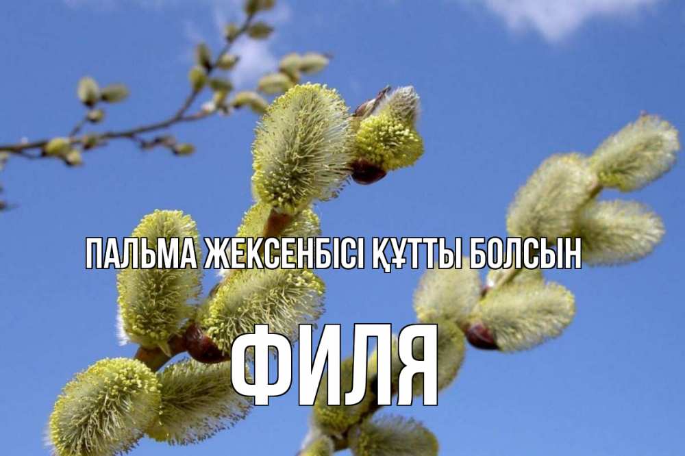 Күн сайын ашық хат с именем, Филя Пальма жексенбісі құтты болсын верба Онлайн тегін жүктеп алу тілектері бар керемет карта 