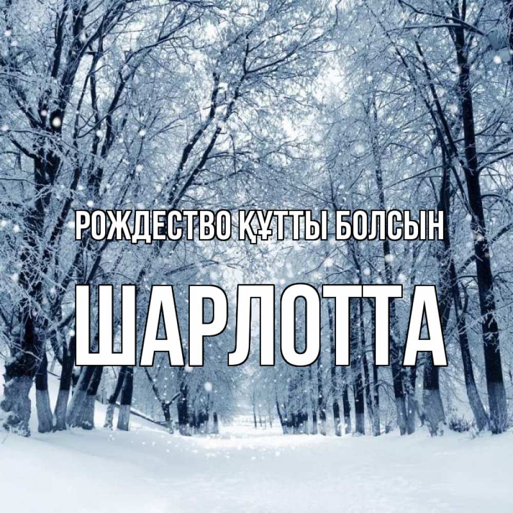Күн сайын ашық хат с именем, Шарлотта Рождество құтты болсын снег, лес, парк Онлайн тегін жүктеп алу тілектері бар керемет карта 