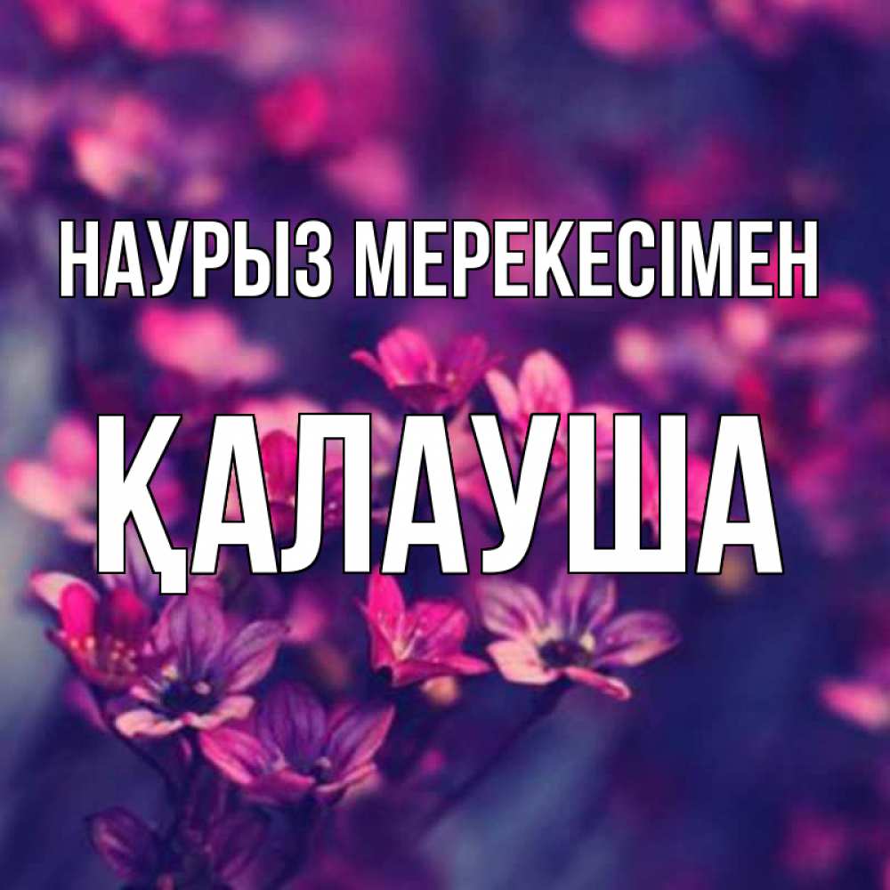 Күн сайын ашық хат с именем, Қалауша Наурыз мерекесімен небольшие цветы 1 Онлайн тегін жүктеп алу тілектері бар керемет карта 