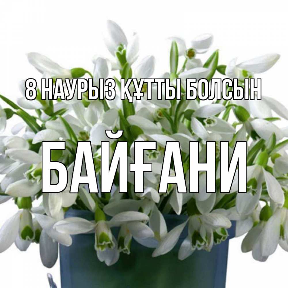 Күн сайын ашық хат с именем, Байғани 8 наурыз құтты болсын цветы к международному женскому дню Онлайн тегін жүктеп алу тілектері бар керемет карта 