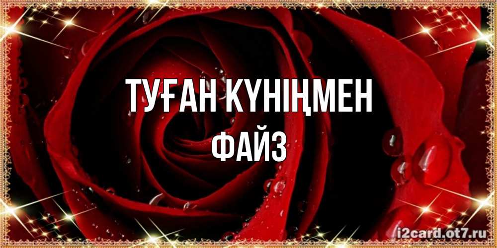 Күн сайын ашық хат с именем, ФАЙЗ Туған күніңмен цветок в росе на день рождения Онлайн тегін жүктеп алу тілектері бар керемет карта 