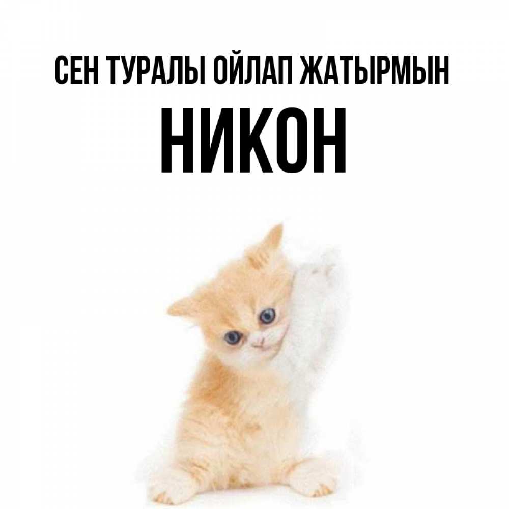 Күн сайын ашық хат с именем, Никон Сен туралы ойлап жатырмын зверушки и милота Онлайн тегін жүктеп алу тілектері бар керемет карта 