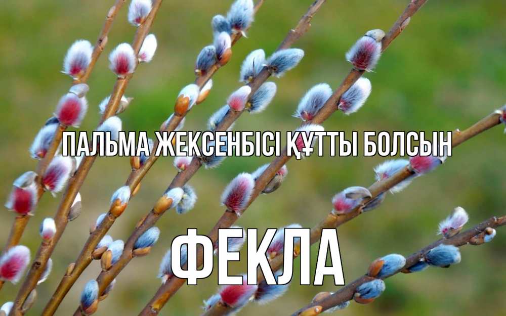 Картинка Пальма жексенбісі құтты болсын, Фекла