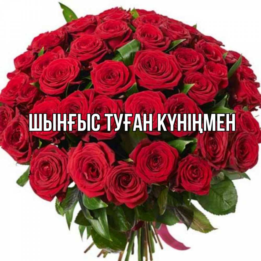 Картинка  с именем , ШЫНҒЫС! ТУҒАН КҮНІҢМЕН!
