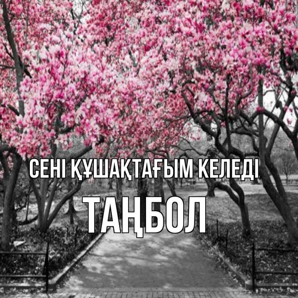 Күн сайын ашық хат с именем, ТАҢБОЛ сені құшақтағым келеді обработанное фото Онлайн тегін жүктеп алу тілектері бар керемет карта 