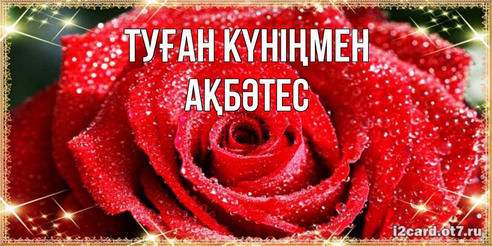 Күн сайын ашық хат с именем, АҚБӘТЕС Туған күніңмен роса и роза. открытка с красивой розой Онлайн тегін жүктеп алу тілектері бар керемет карта 