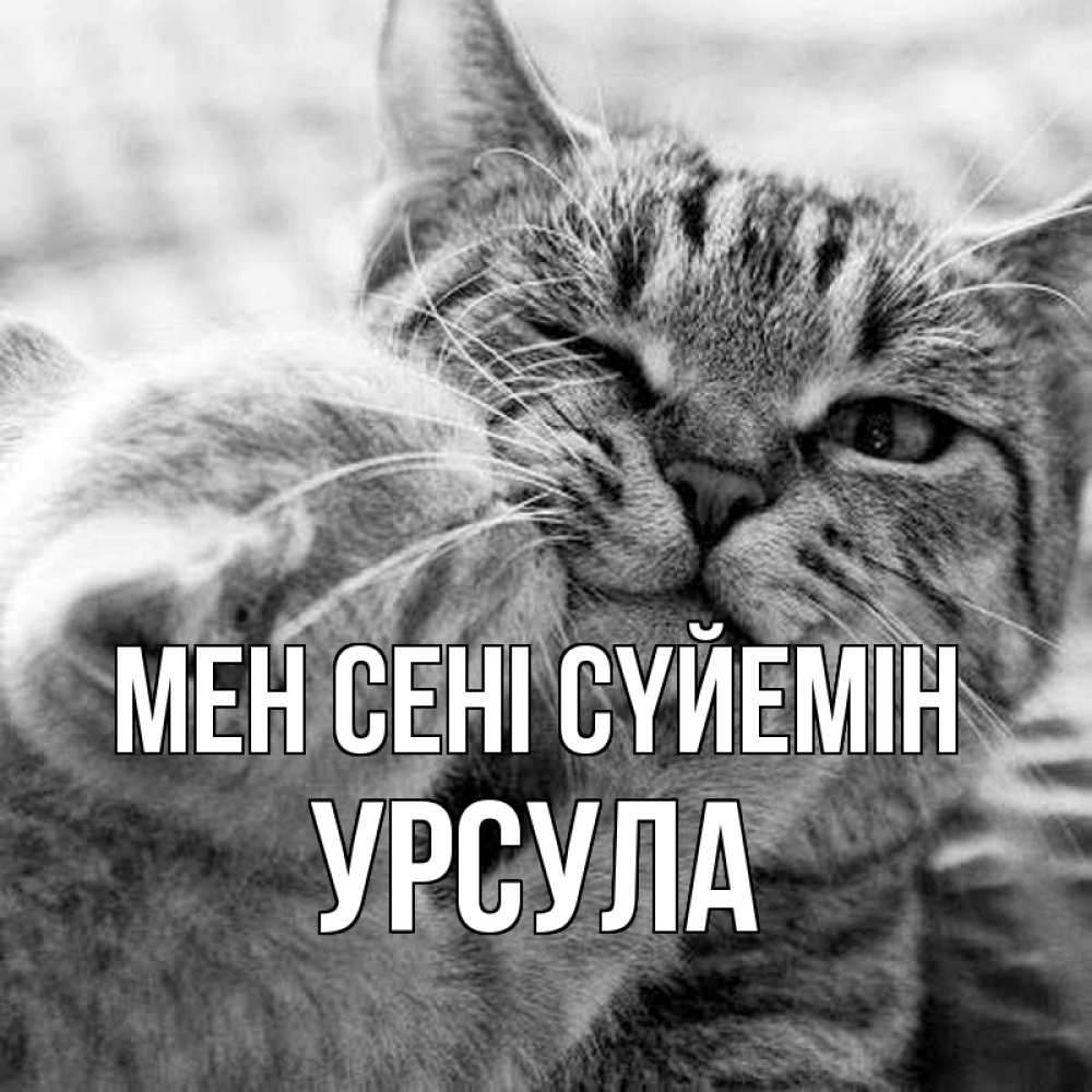 Күн сайын ашық хат с именем, Урсула Мен сені сүйемін коты Онлайн тегін жүктеп алу тілектері бар керемет карта 