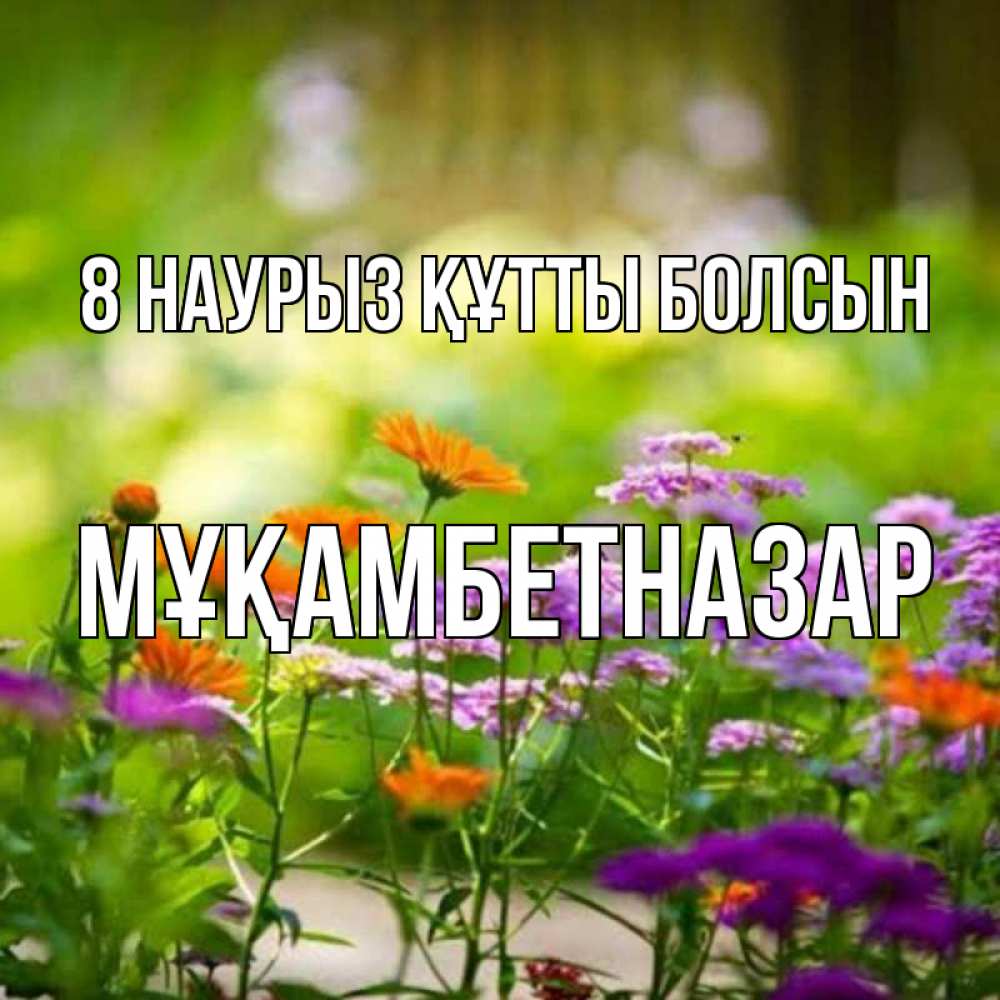 Күн сайын ашық хат с именем, Мұқамбетназар 8 наурыз құтты болсын цветы Онлайн тегін жүктеп алу тілектері бар керемет карта 
