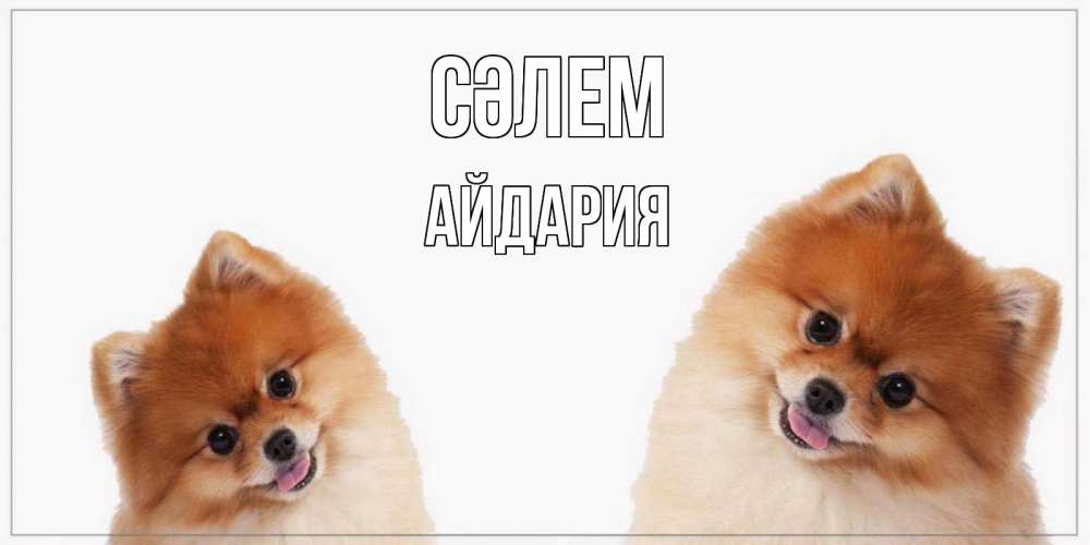 Күн сайын ашық хат с именем, АЙДАРИЯ Сәлем привет Онлайн тегін жүктеп алу тілектері бар керемет карта 