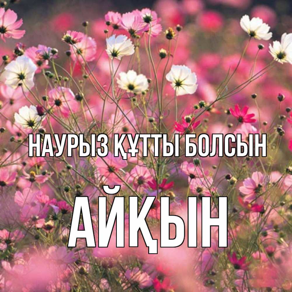 Күн сайын ашық хат с именем, Айқын Наурыз құтты болсын красиво 1 Онлайн тегін жүктеп алу тілектері бар керемет карта 