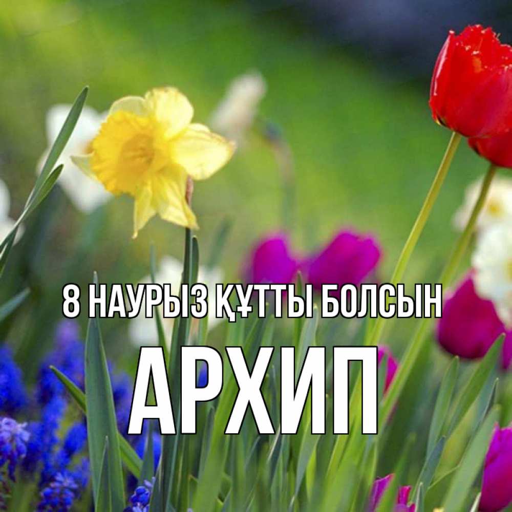 Күн сайын ашық хат с именем, Архип 8 наурыз құтты болсын международный женский день 3 Онлайн тегін жүктеп алу тілектері бар керемет карта 