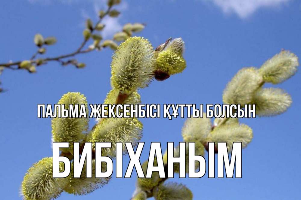 Күн сайын ашық хат с именем, БИБІХАНЫМ Пальма жексенбісі құтты болсын верба Онлайн тегін жүктеп алу тілектері бар керемет карта 
