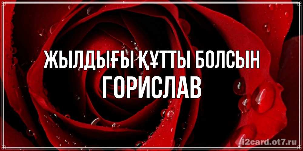 Күн сайын ашық хат с именем, Горислав Жылдығы құтты болсын крупная бордовая роза Онлайн тегін жүктеп алу тілектері бар керемет карта 