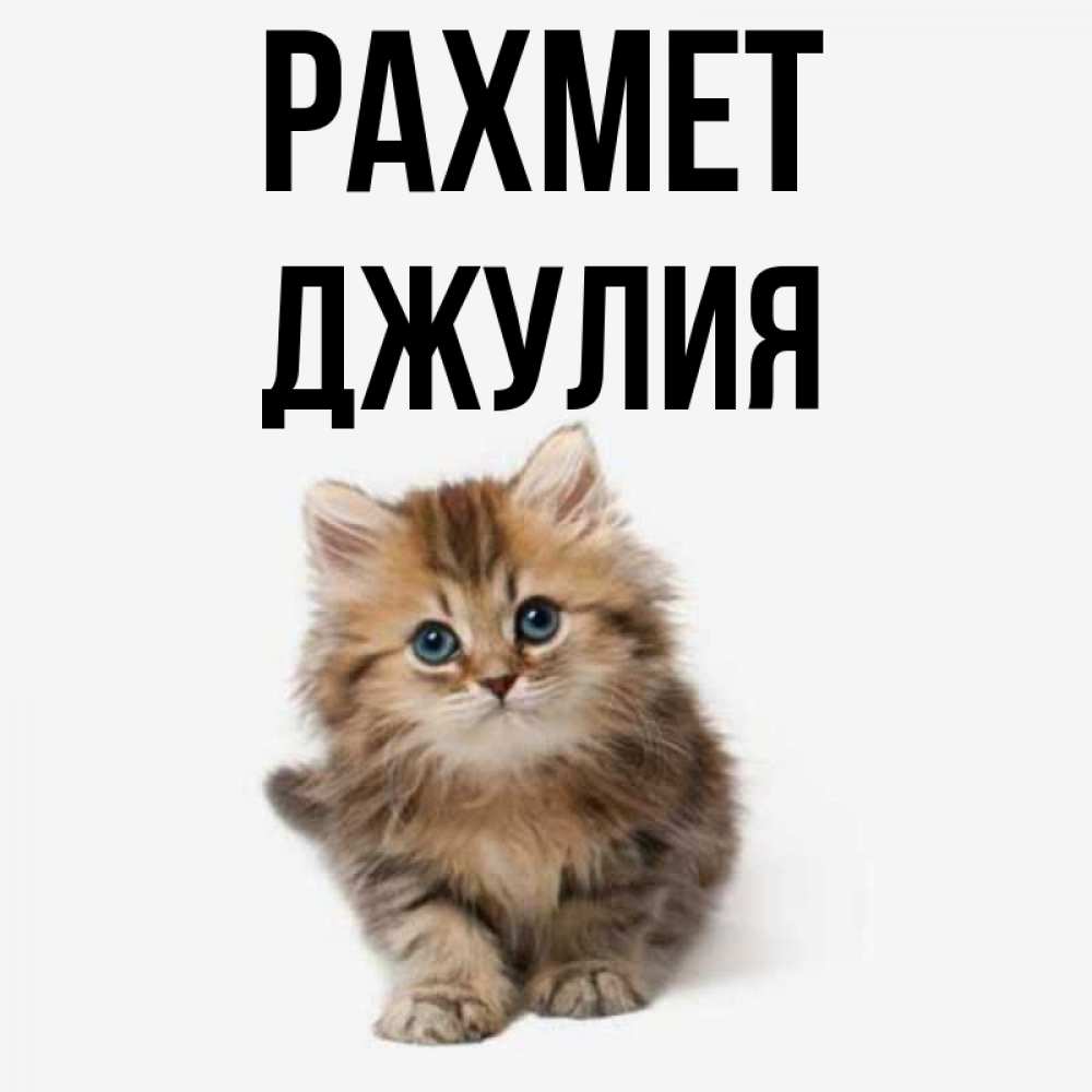 Күн сайын ашық хат с именем, Джулия рахмет пушистый котик Онлайн тегін жүктеп алу тілектері бар керемет карта 