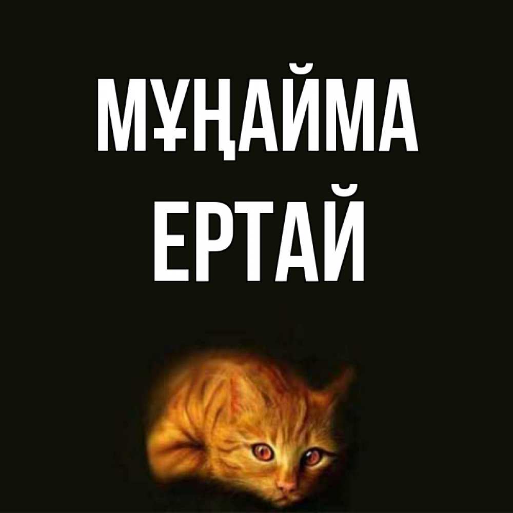 Күн сайын ашық хат с именем, Ертай Мұңайма лежащий кот в темноте Онлайн тегін жүктеп алу тілектері бар керемет карта 