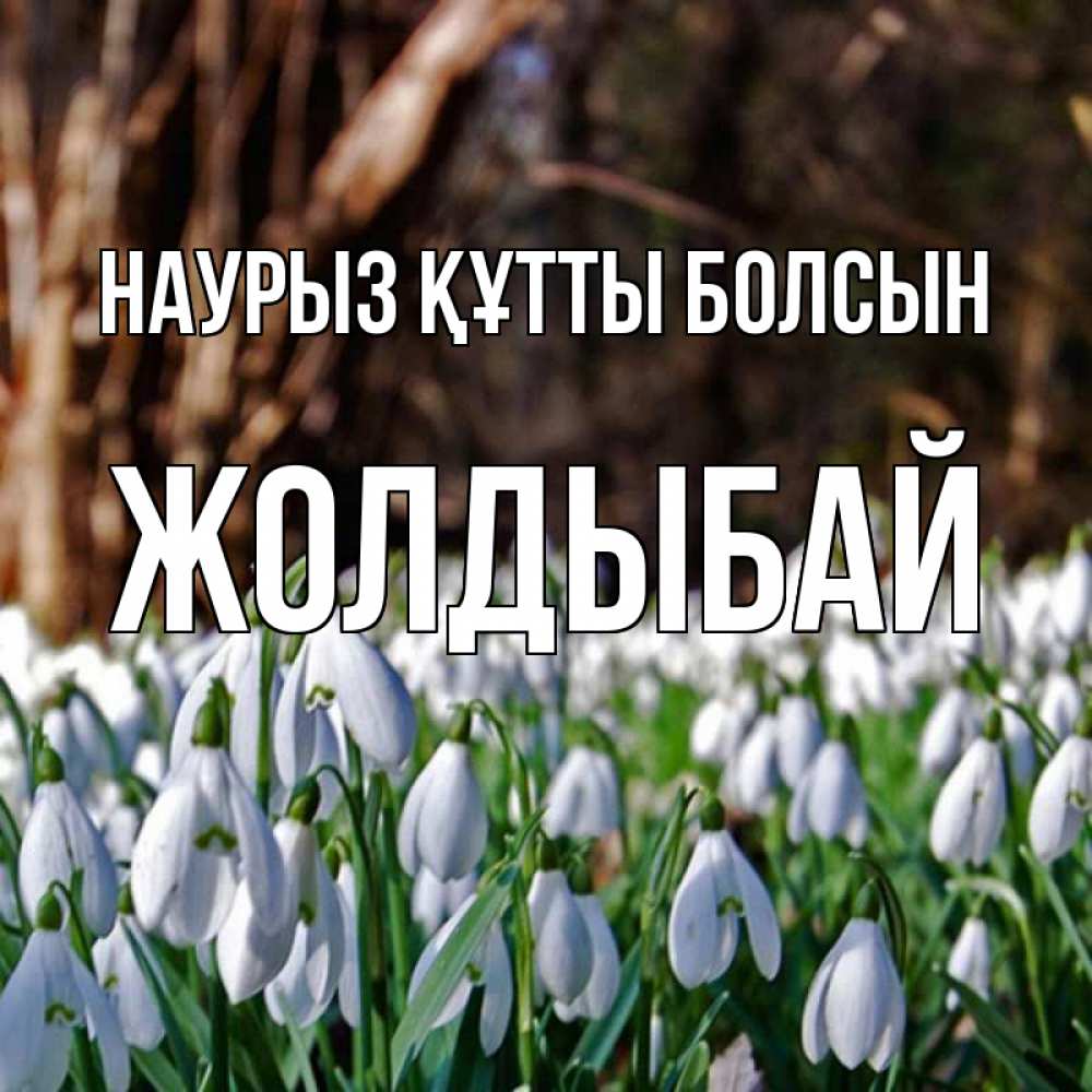 Күн сайын ашық хат с именем, Жолдыбай Наурыз құтты болсын с подснежниками 1 Онлайн тегін жүктеп алу тілектері бар керемет карта 