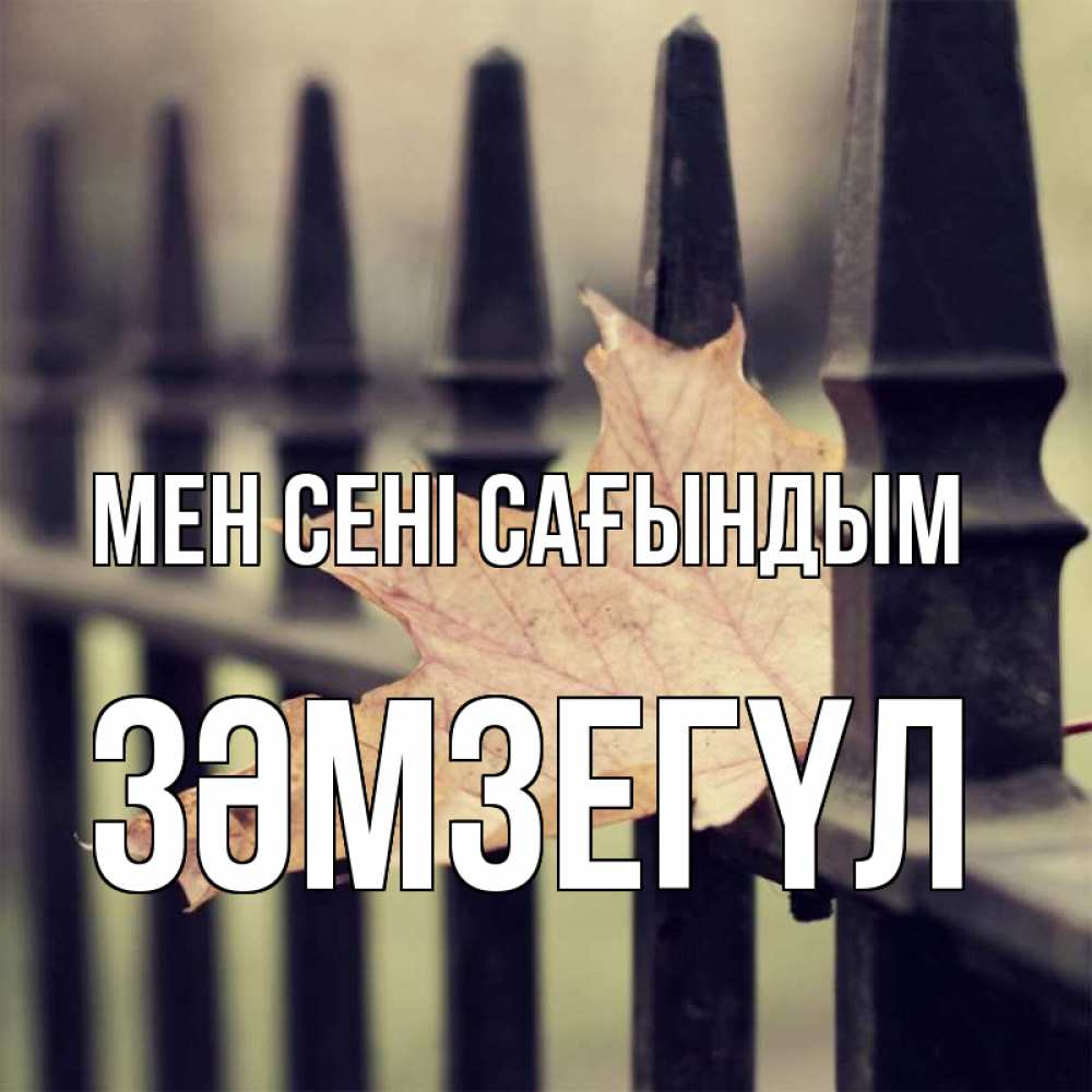 Күн сайын ашық хат с именем, ЗӘМЗЕГҮЛ Мен сені сағындым очень скучно Онлайн тегін жүктеп алу тілектері бар керемет карта 