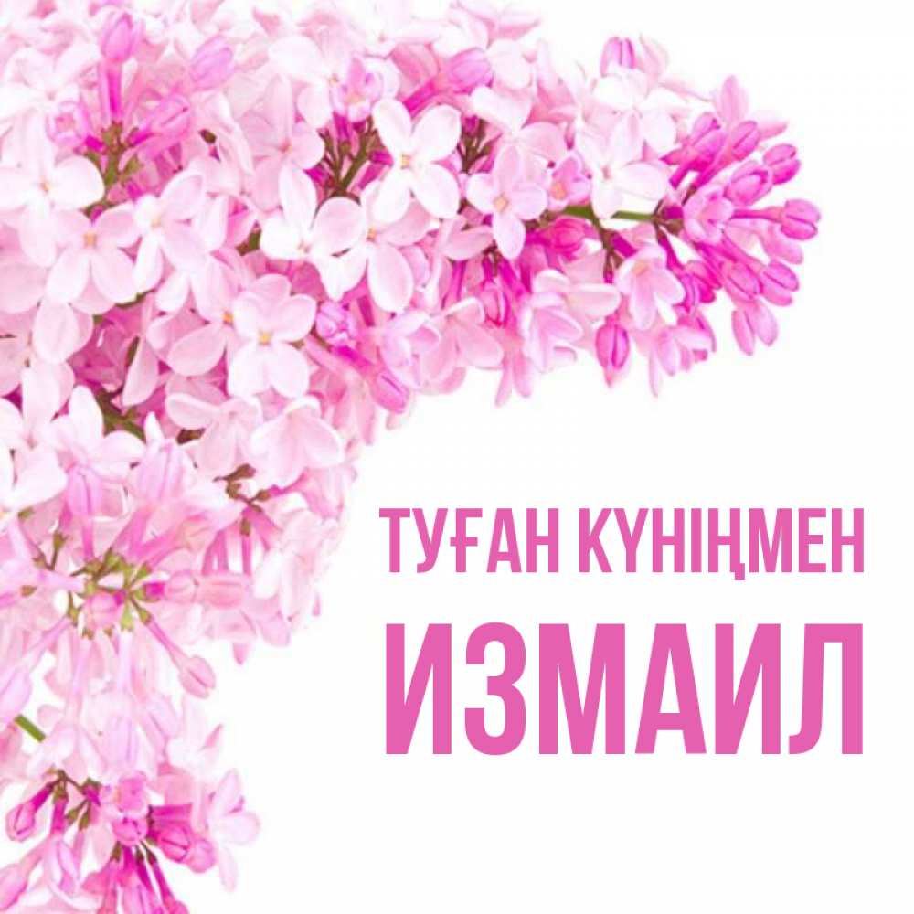 Күн сайын ашық хат с именем, Измаил Туған күніңмен Сирень на белом фоне Онлайн тегін жүктеп алу тілектері бар керемет карта 