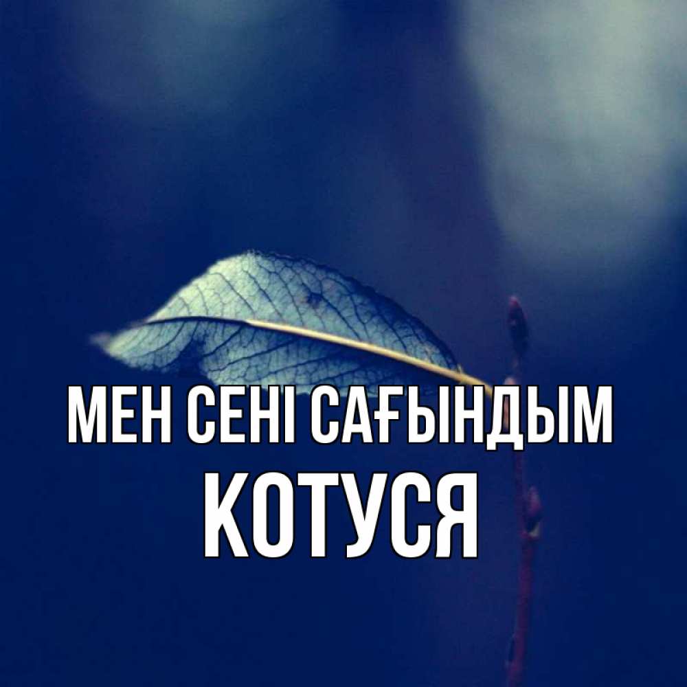 Күн сайын ашық хат с именем, Котуся Мен сені сағындым одна ветка 1 Онлайн тегін жүктеп алу тілектері бар керемет карта 