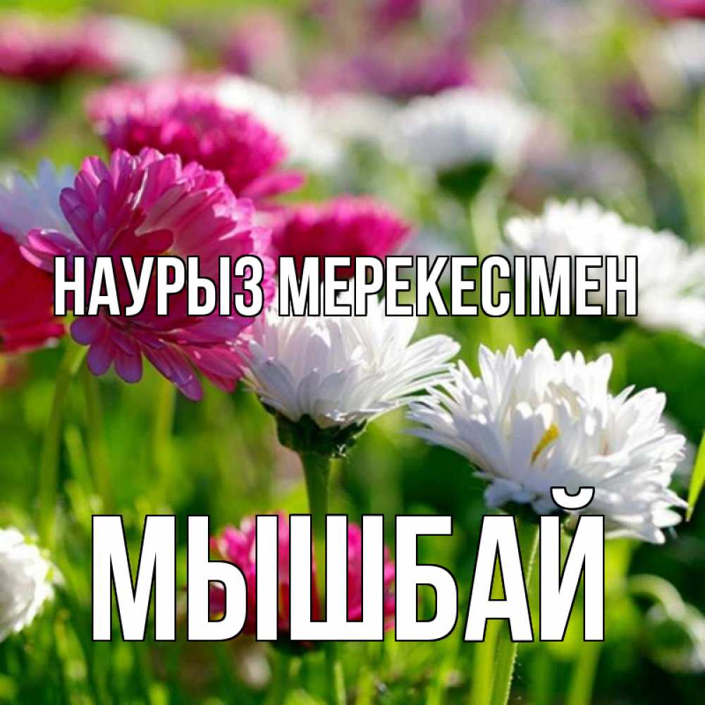 Күн сайын ашық хат с именем, МЫШБАЙ Наурыз мерекесімен праздник весны наурыз красота Онлайн тегін жүктеп алу тілектері бар керемет карта 
