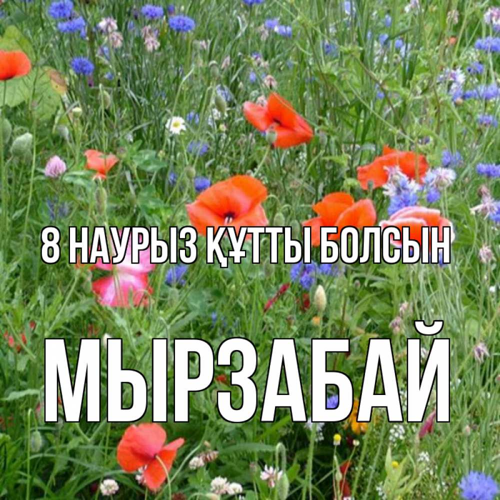 Күн сайын ашық хат с именем, Мырзабай 8 наурыз құтты болсын международный женский день 4 Онлайн тегін жүктеп алу тілектері бар керемет карта 