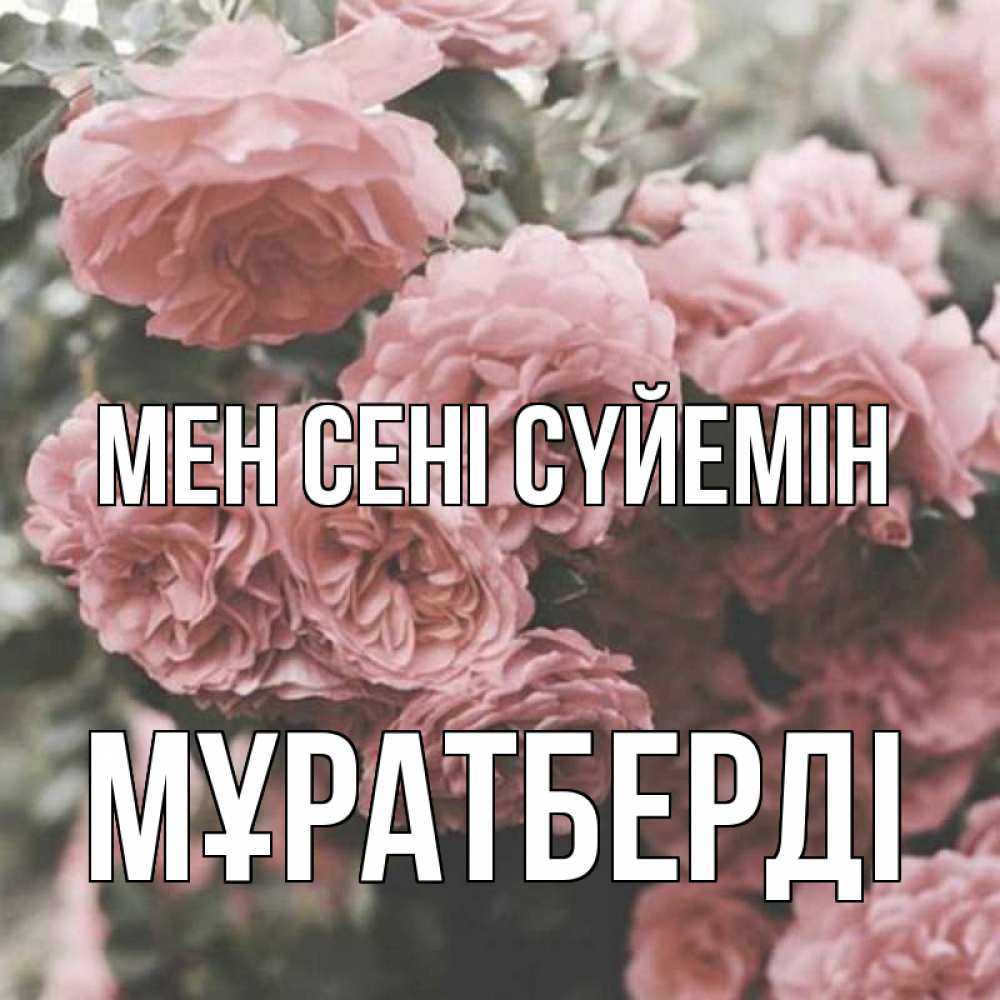 Күн сайын ашық хат с именем, Мұратберді Мен сені сүйемін розы 3 Онлайн тегін жүктеп алу тілектері бар керемет карта 
