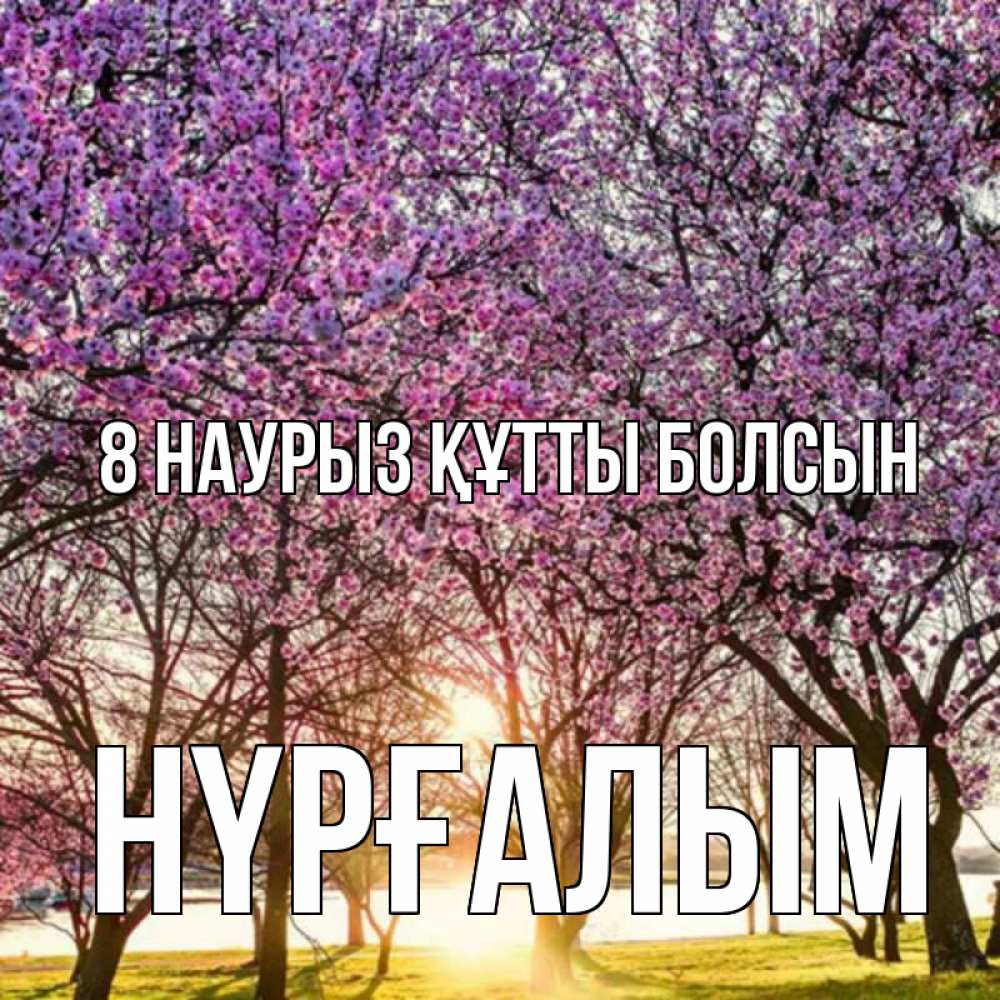 Күн сайын ашық хат с именем, НҮРҒАЛЫМ 8 наурыз құтты болсын международный женский день Онлайн тегін жүктеп алу тілектері бар керемет карта 