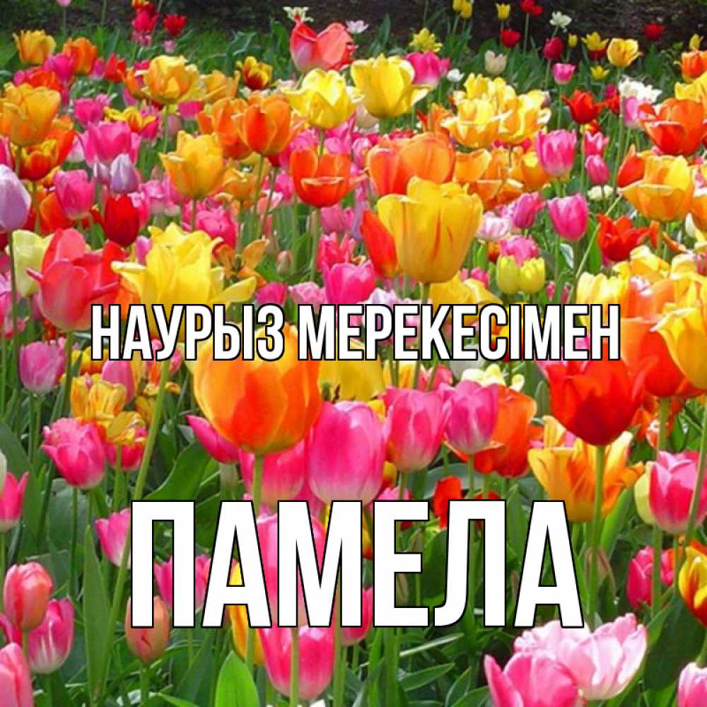 Күн сайын ашық хат с именем, Памела Наурыз мерекесімен праздник весны наурыз 4 Онлайн тегін жүктеп алу тілектері бар керемет карта 