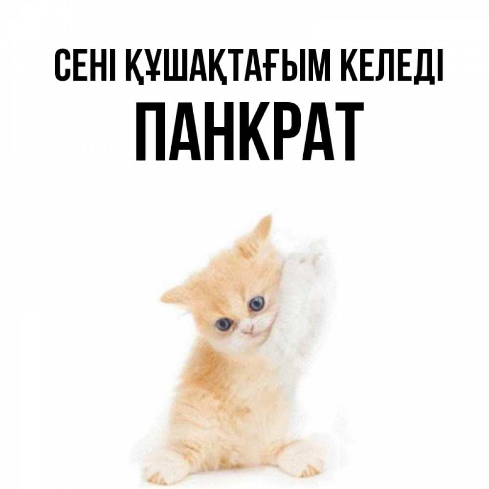 Күн сайын ашық хат с именем, Панкрат сені құшақтағым келеді я хочу очень скорее обнимаешек Онлайн тегін жүктеп алу тілектері бар керемет карта 