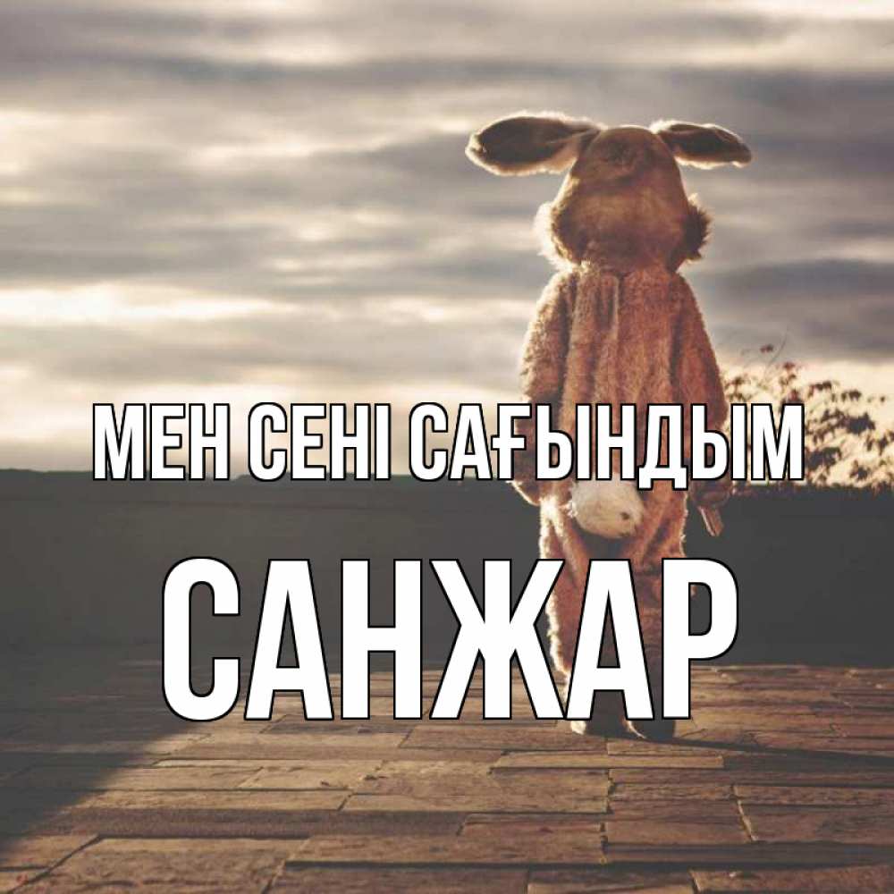 Күн сайын ашық хат с именем, САНЖАР Мен сені сағындым даже в костюме зайца Онлайн тегін жүктеп алу тілектері бар керемет карта 
