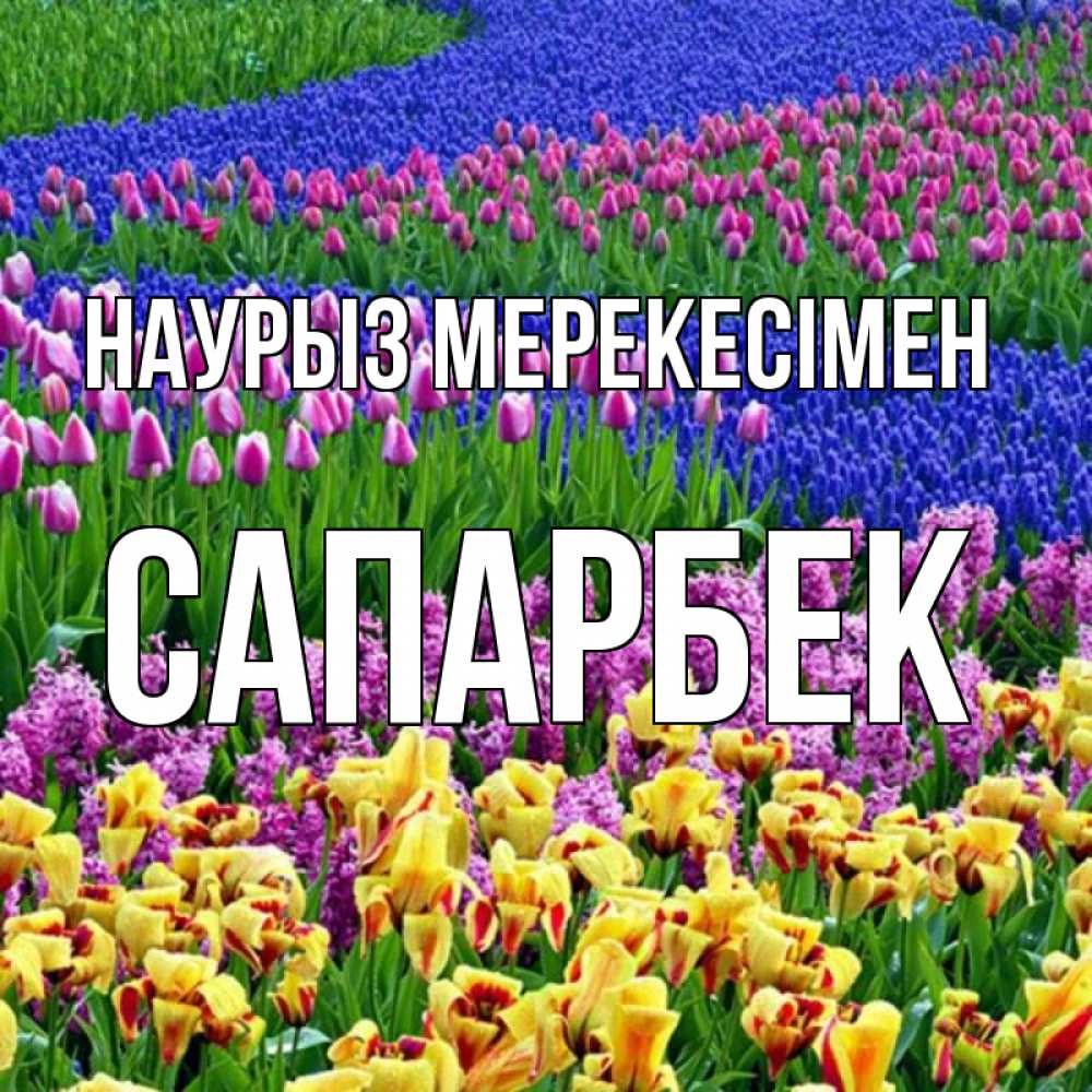Күн сайын ашық хат с именем, САПАРБЕК Наурыз мерекесімен цветы Онлайн тегін жүктеп алу тілектері бар керемет карта 